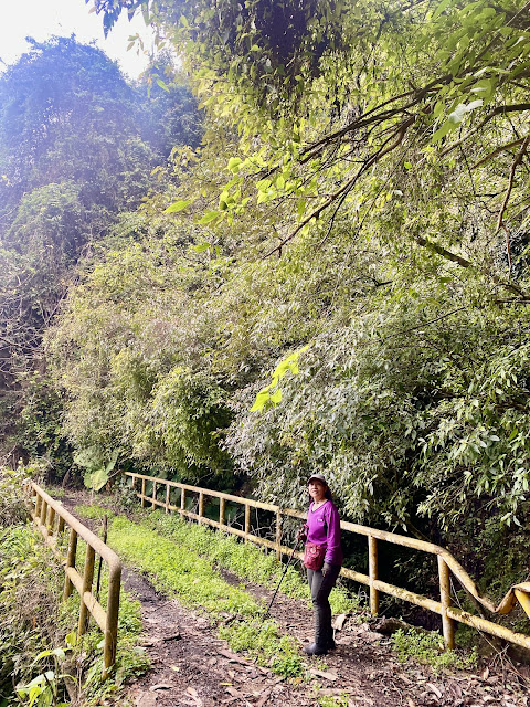 潭南山下山途中--回抵鐵橋