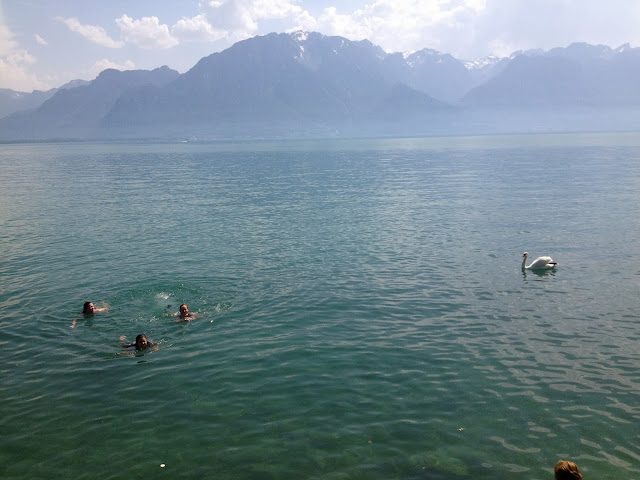 Swan chasing girls in Lake Geneva on Semi-Charmed Kind of Life