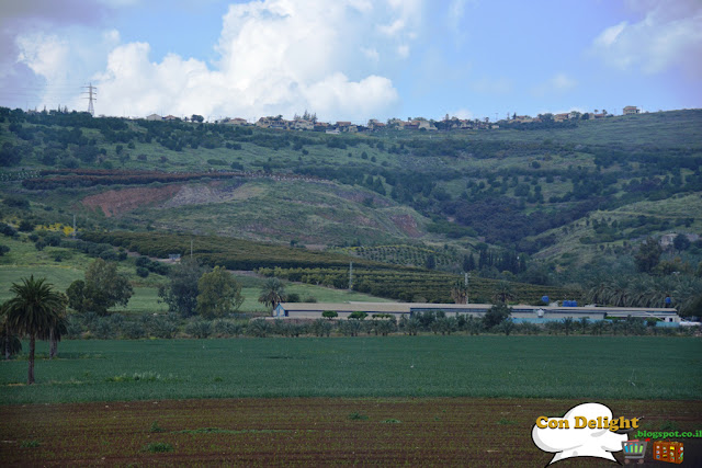 scenery near galilee lake