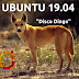 Ubuntu 19.04 se llamará Disco Dingo en referencia al perro originario de Australia.