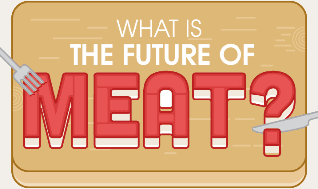 What is the Future of Meat? 