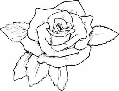 Download More Roses Coloring Pages