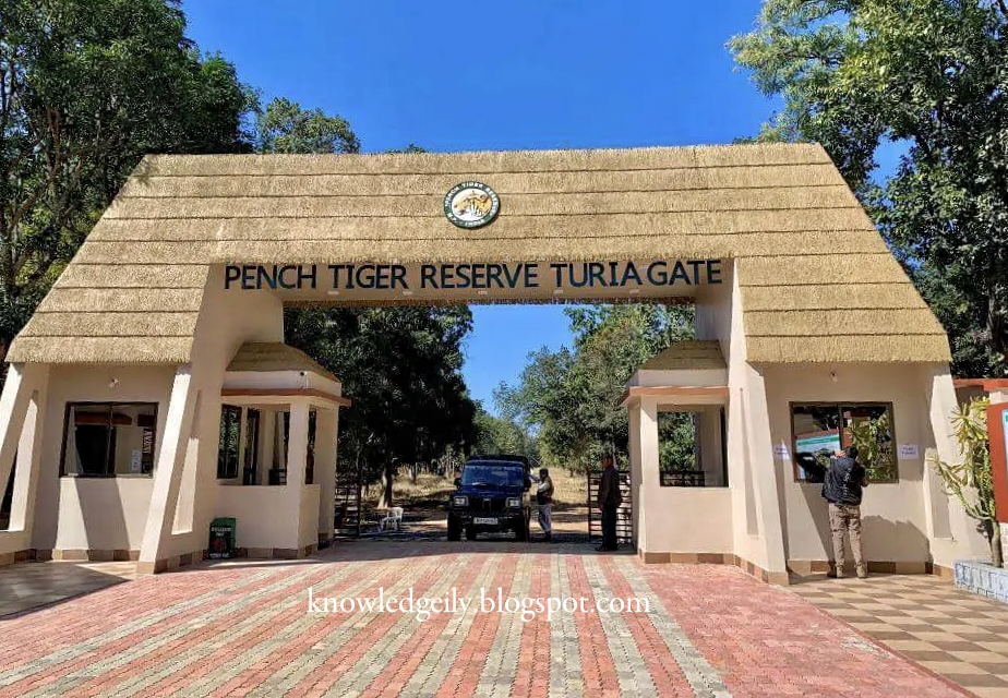 How to Reach Pench National Park