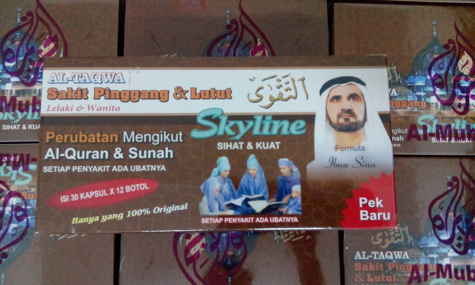 PEMBORONG DAN PENGEDAR PRODUK SKYLINE AL TAQWA : UBAT 