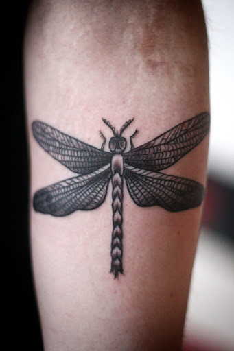 dragonfly in tattoos