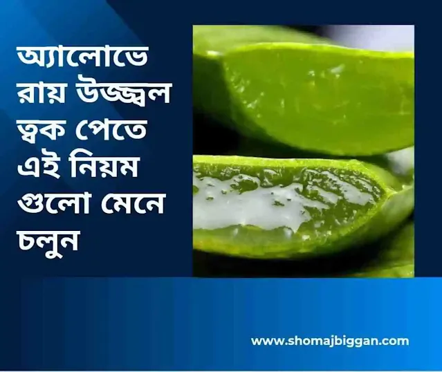 অ্যালোভেরায় উজ্জ্বল ত্বক পেতে এই নিয়ম গুলো মেনে চলুন