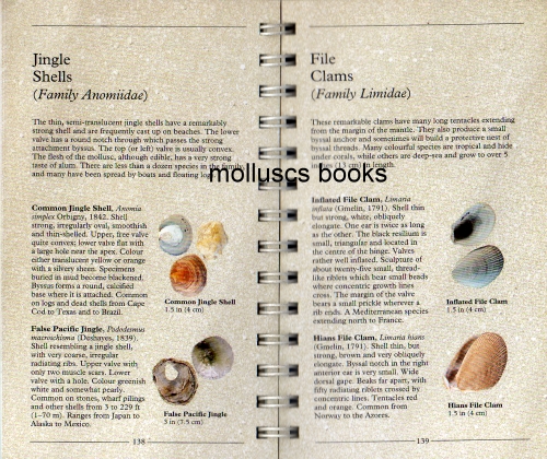 The Pocket Guide To Seashells Of The Northern Hemisphere