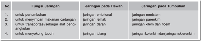 Jaringan dalam Organisasi Kehidupan Kumpulan Perbedaan Jaringan dalam Organisasi Kehidupan Kumpulan Perbedaan