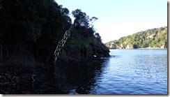 DSCF0590