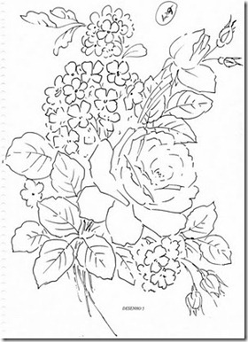 rosa e hort.