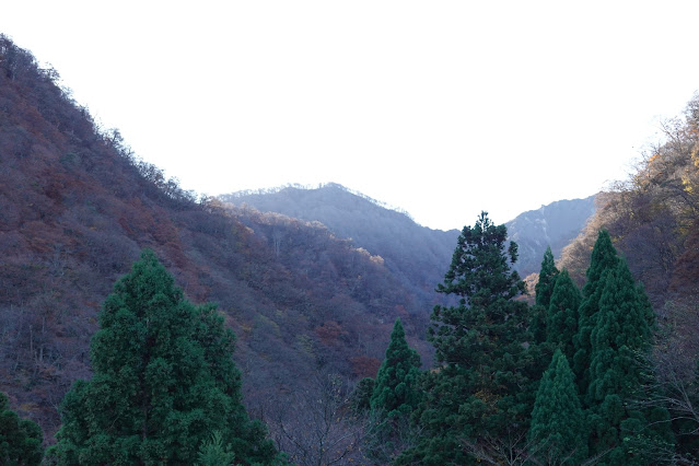 鳥取県西伯郡大山町大山 大山環状道路からの眺望