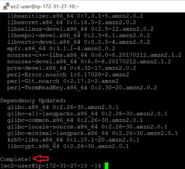 Amazon Linux 2 yum install完了