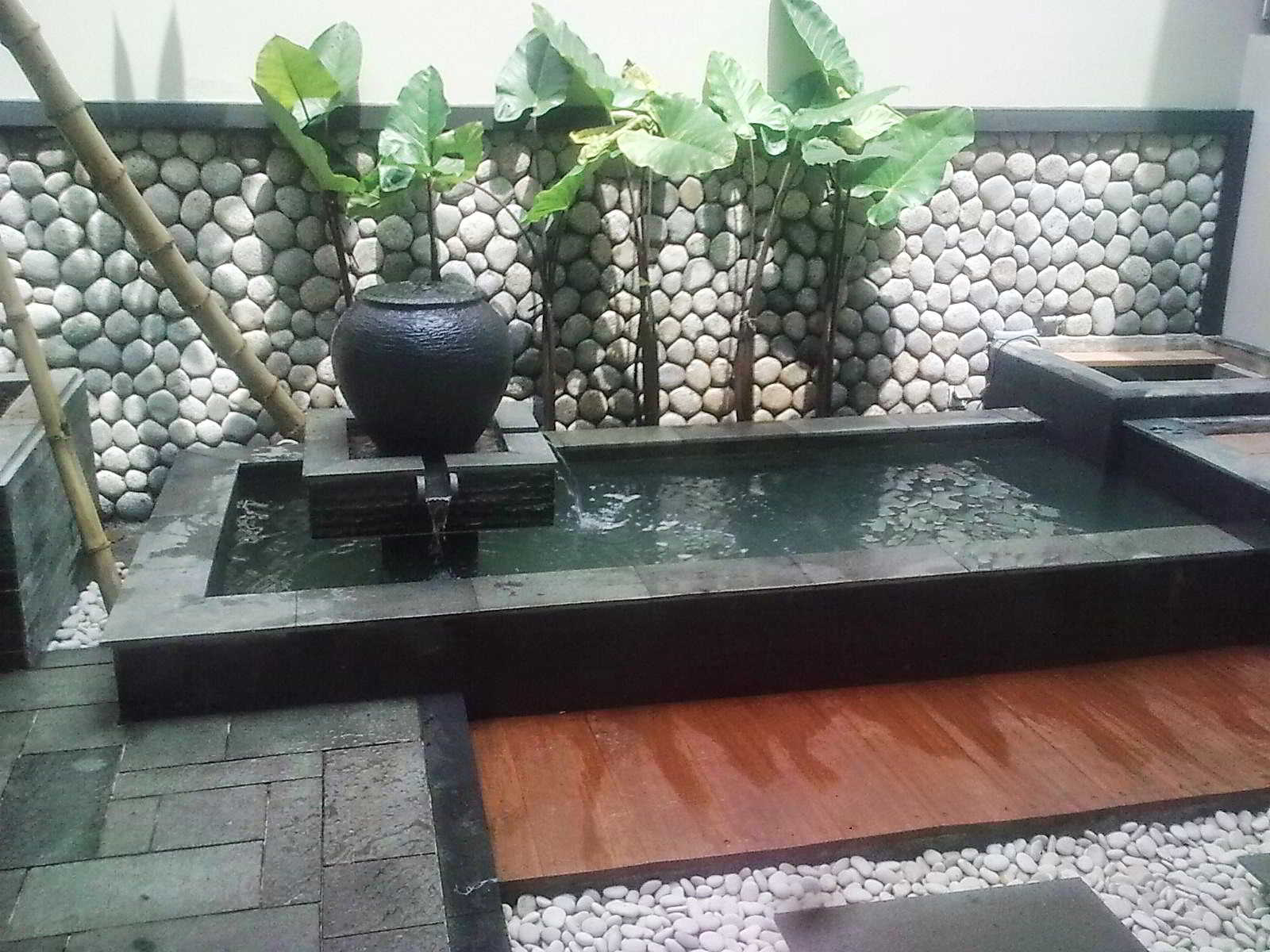 Rumah Minimalis Taman Kolam  Ikan  Homkonsep