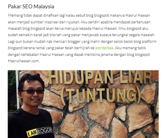 Jadi blogger berjaya dalam niche SEO blogspot