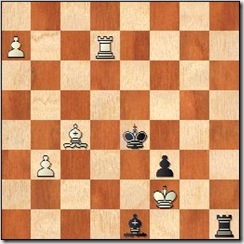opposite_bishop_119