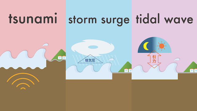 tsunami と storm surge と tidal wave の違い