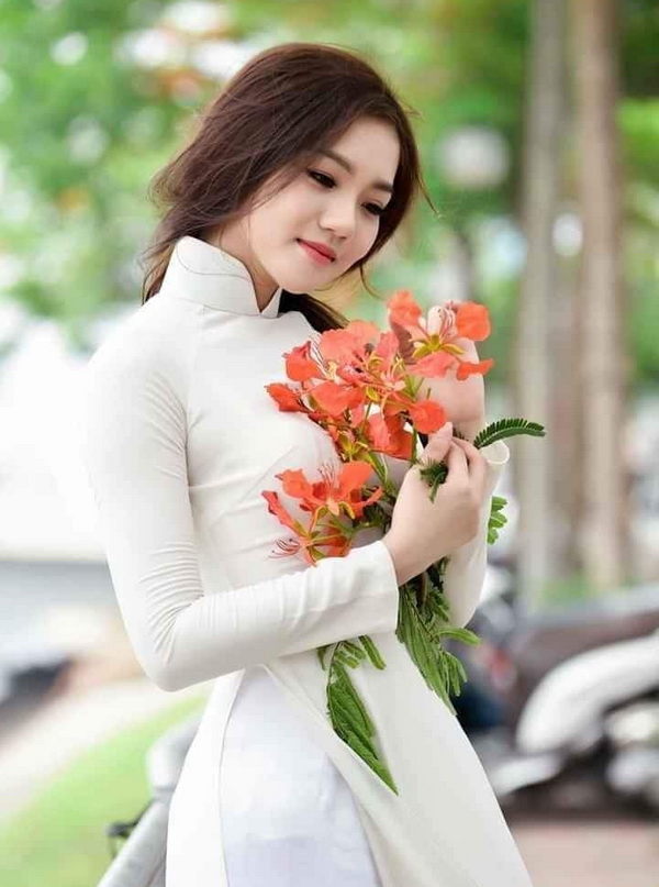 Thiếu nữ áo dài trắng ôm hoa hoa phượng