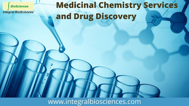 medicinal chemistry services