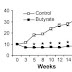 Butyric Acid: an Ancient Controller of Metabolism, Inflammation and Stress Resistance