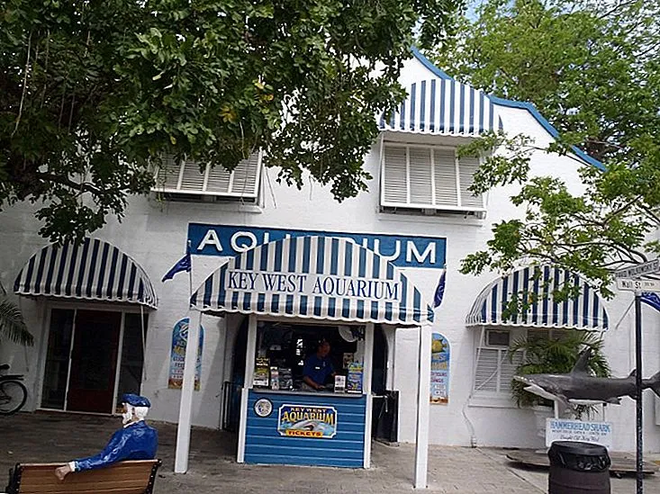 Florida Aquarium