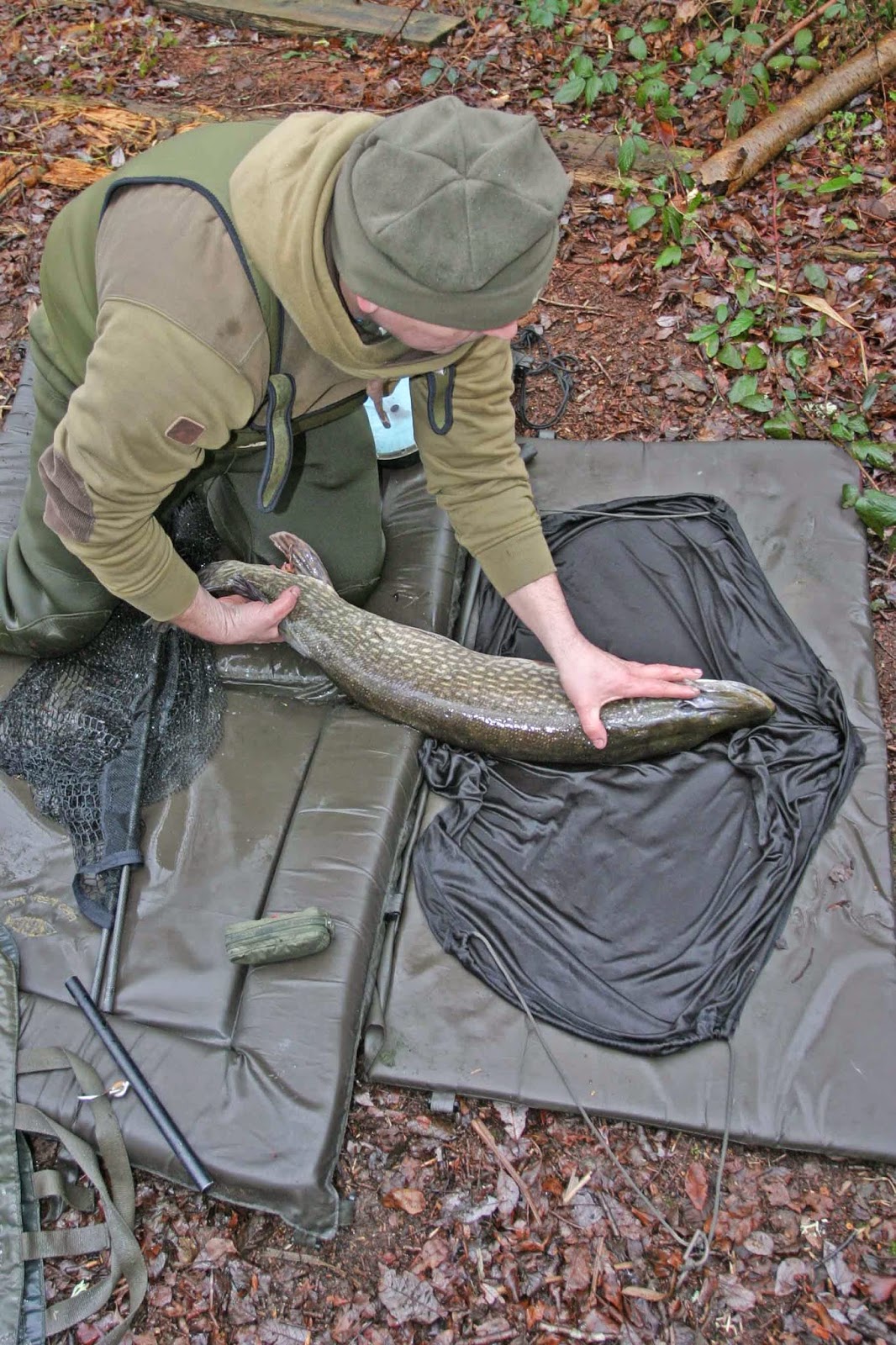 Duncan Charmans World of Angling: How to weigh a fish accurately.