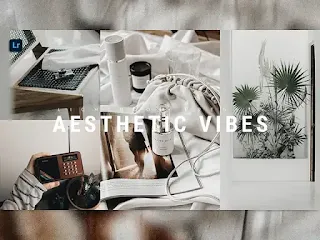 Aesthetic Vibes Lightroom Presets