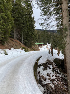 Dolomiti Comelico Superiore passeggiate neve