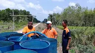 Warga Mesuji Lampung Mulai alami krisis Air Bersih