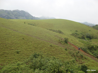 Wagamon Meadows