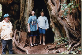 Tom Sue and Joe on nature walk oly nat pk