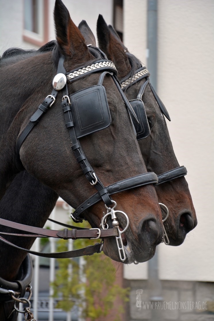 Hejner Kerb 20fuff10 (03)