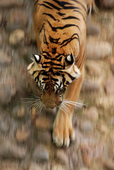 foto indah indonesia versi national geographic