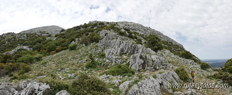 Nueve picos de la Sierra del Endrinal