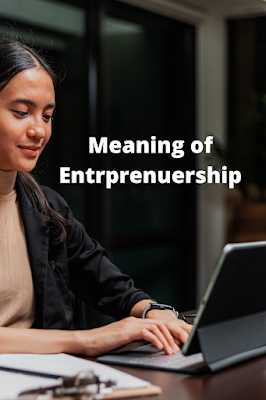 Meaning of Entrepreneurship