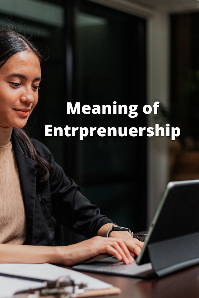 Meaning of Entrepreneurship