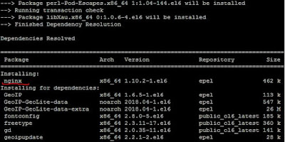 How to install NGINX web server  on  rhel 6 with practical step by step guide