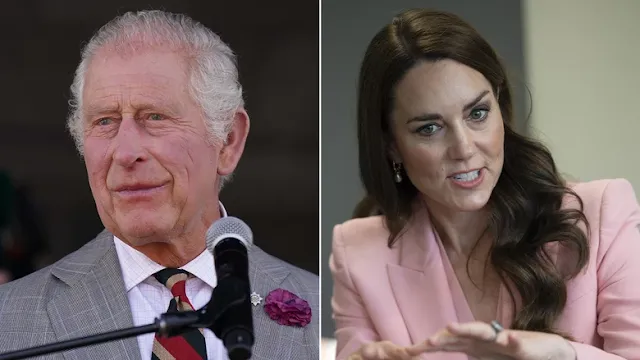 Princess Kate Criticized for Missed Opportunity to Advocate Like King Charles