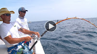 Fishing for the Reef Kings