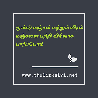 குண்டு மஞ்சள் மற்றும் விரல் மஞ்சளை பற்றி விரிவாக பார்ப்போம்