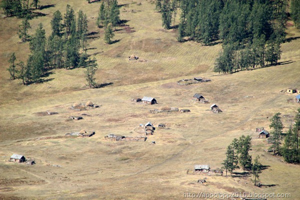 2010-09-07__13_33_4462__herman