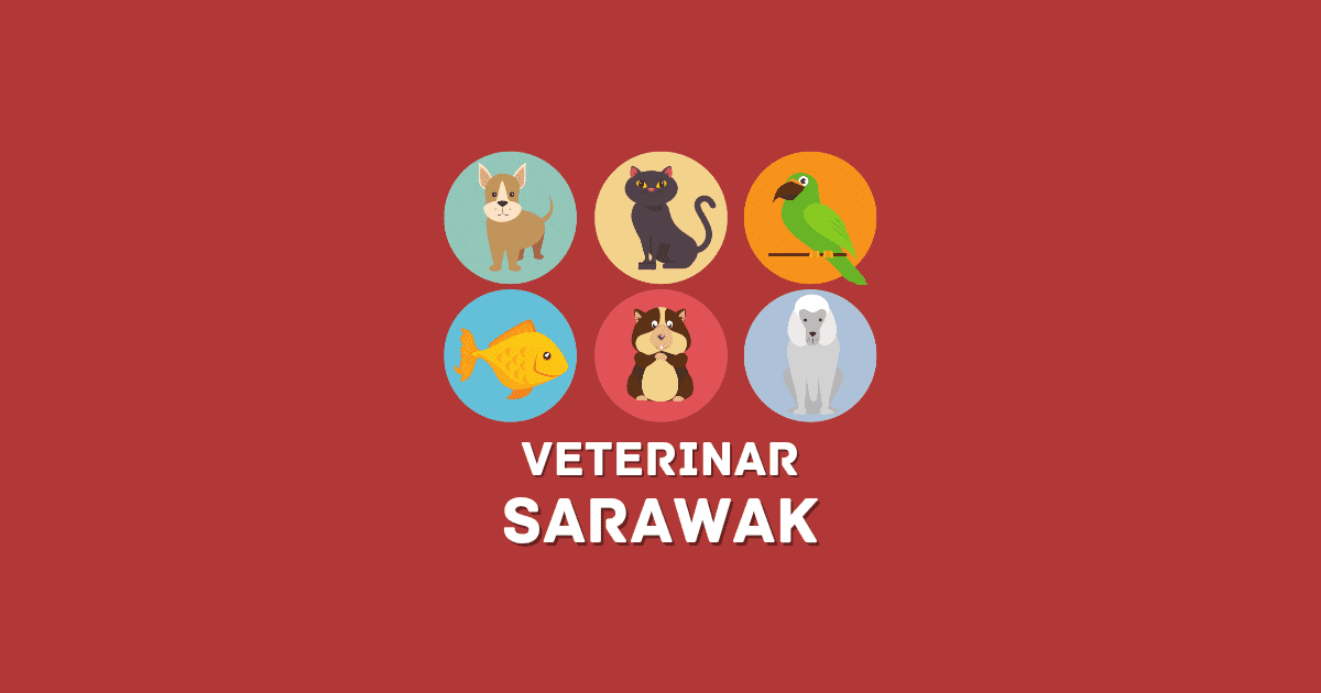 Klinik Haiwan Sarawak