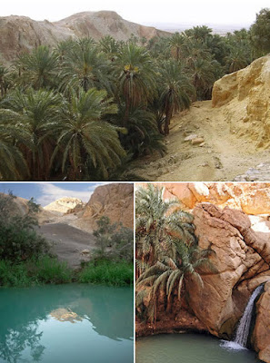 Chebika Oasis (Tunisia)