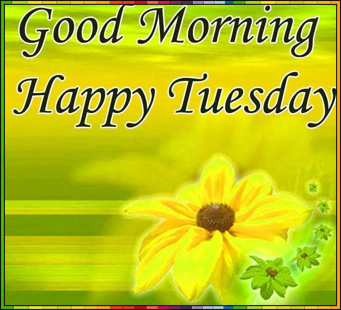 beautiful happy tuesday images
