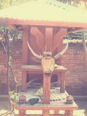 Manjangan Seluwang