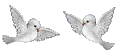 Gifs animados palomas blancas