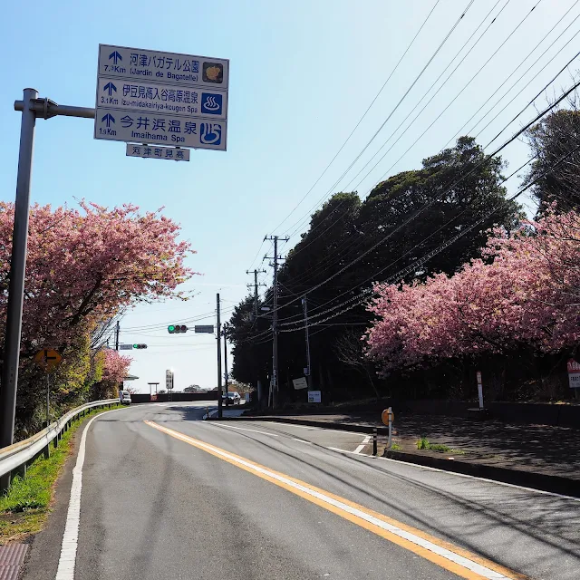 国道135号　今井浜