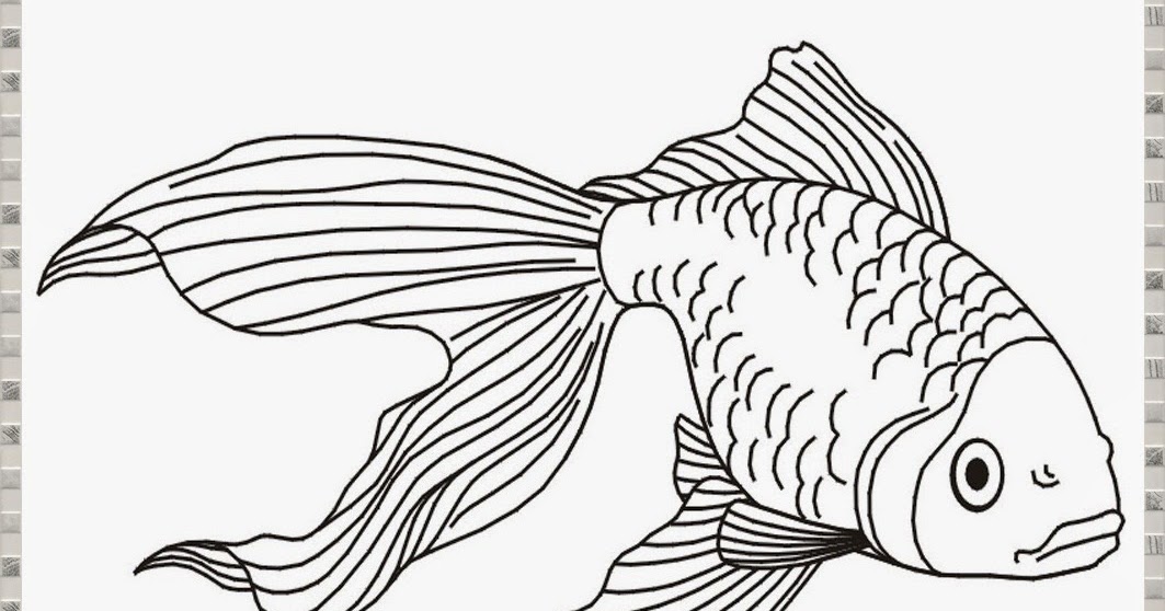 Mewarnai Gambar Sketsa Ikan  Koi  Hitam Putih Terbaru KataUcap