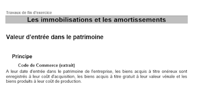 IMMOBILISATION, AMORTISSEMENT, fiduciaire, economie 