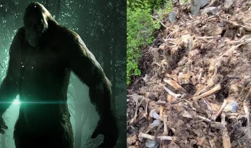 Creepy massive ‘elk graveyard’ discovered in Idaho, locals blame Bigfoot