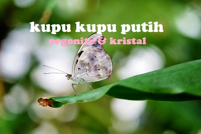  Kupu  kupu  putih Crystal Healing